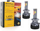 Streetech Lamps Car lights H7 / H1 / H4 / H11 Canbus LED 6000K Cold White 30V 65W 2pcs