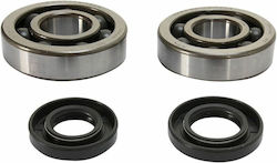 Pro-X Crankshaft Bearing