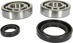 Pro-X Crankshaft Bearing