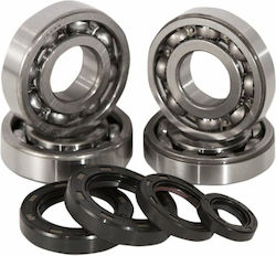 Hot Rods Crankshaft Bearing