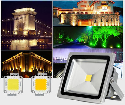 LED Floodlight 50W Cold White