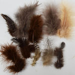 Feathers mix Earth 5-13cm 18pcs