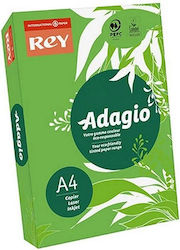 Rey Hârtie de Imprimare A4 160gr/m² 1x250 foi Iarbă verde 085004043