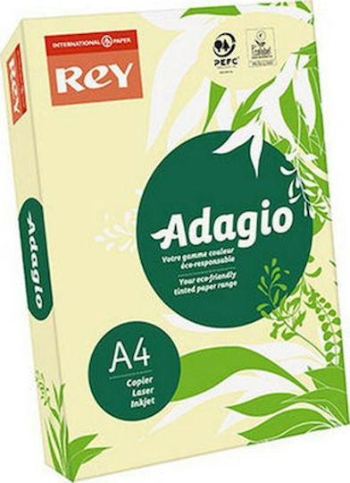 Rey Hârtie de Imprimare A4 160gr/m² 1x250 foi Cremă de vanilie 085004058
