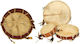 Gewa Ethnic Όργανο Drum