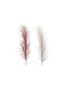 Kaemingk Decorative Feather Pink 120cm 1pcs