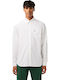 Long Sleeve Shirt Regular Fit White