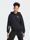 Bluv Q3 Ft Hd Women's Sweatshirt Hooded Black