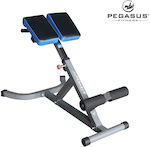 Pegasus Adjustable Dorsal / Abdominal Workout Bench