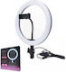 Qiaoyang Ringlicht 26cm 2500 - 6000K mit Bodenstativ und Handyhalter