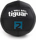 Tiguar Ball Medicine 30cm , 2kg in Black Color