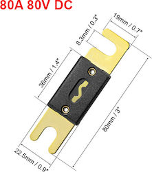Car Fuse ANL