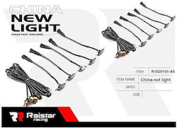 Raistar Sistem Decorativ Interior de Iluminat Auto 110024