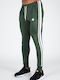 Sweatpants with Elastic Green