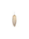 Keskor Pendant Light Honey with Socket E27 25x74cm