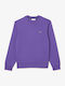 Sweatshirt with Hood Purple