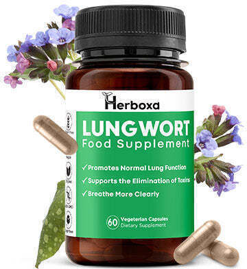 Herboxa Lungwort 60 φυτικές κάψουλες