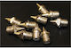 Maxwel Nails for Spikes
