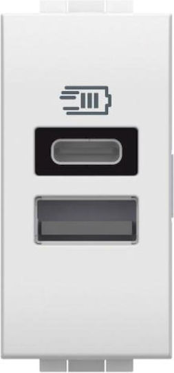 Bticino Walled Power Socket with 2 USB Ports White