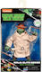 Teenage Mutant Ninja Turtles Action Figure