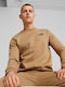 Puma Men's Sweatshirt Brown