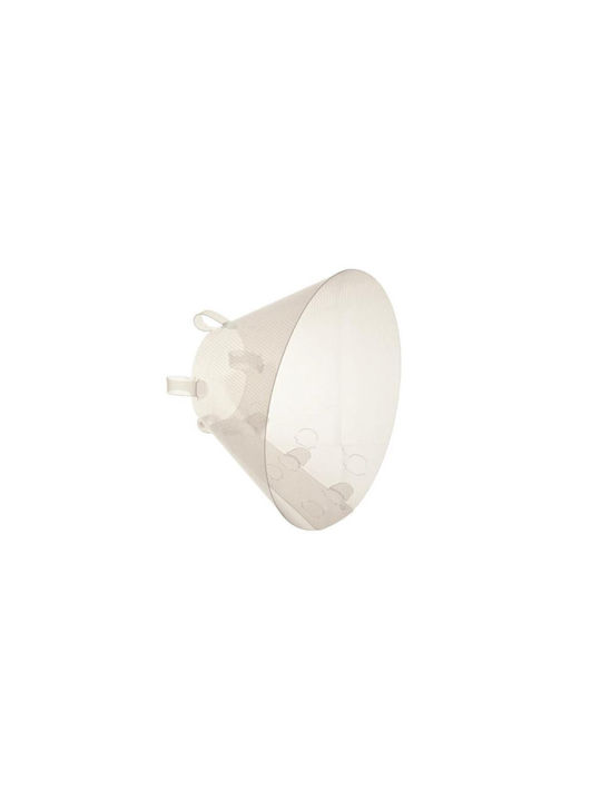 Ferribiella Hundehalsband aus in Transparent Farbe