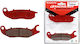 Racing Boy Motorcycle Brake Pads