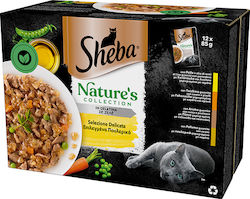 Sheba Selection in Sauce 12x85gr
