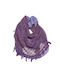 Biston Women's Scarf Purple