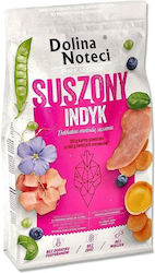 Dolina Noteci Premium