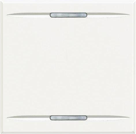 Bticino Controller Front Plate 2-Slots White HD4911M2