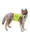 Kerbl Dog Protective Vest 35x35εκx35εκcm