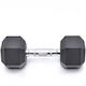 Rubber Hexagon Dumbbell 1 x 10kg