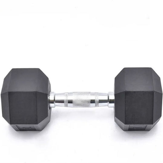 Rubber Hexagon Dumbbell 1 x 10kg