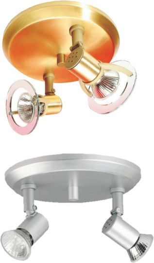 Elvhx Ceiling Rose for Spotlights Gold 3777