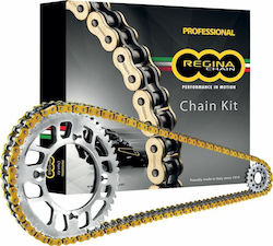 Regina Chain & Sprocket Kit for Honda Tiger for Triumph Tiger