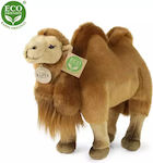 Rappa Plush 30 cm