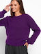 Funky Buddha Damen Langarm Pullover Amethyst