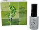 QBD Base Coat για Ημιμόνιμα Βερνίκια 12ml