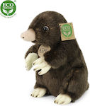 Rappa Plush 21 cm