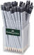 Faber-Castell 2001 Pencil HB with Eraser Silver