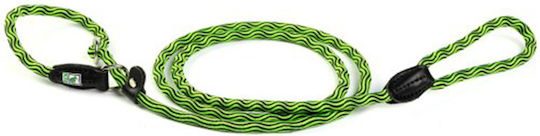 Kiwi Dog Leash/Lead Strap in Green color