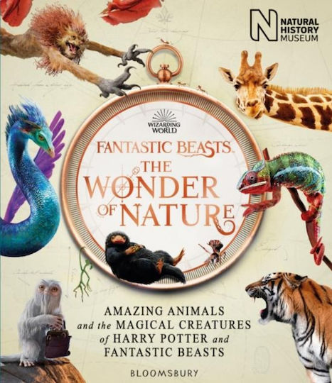 Fantastische Tierwesen Der Wunder Der Natur Fantastische Tierwesen Der Wunder Der Natur