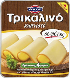 Brânză Trikalino Afumată Felii FAGE 10 Felii 200 g Brânză Trikalino Afumată Felii FAGE 10 Felii 200 g