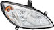 Hella Vordere Lichter für Mercedes-Benz Vito / Viano 1Stück