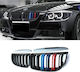 Diederichs Car Decorative Mask BMW Series 3 (E90) / E91 / M4 / Series 3