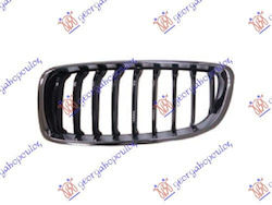 Prasco Car Front Mask Decoration