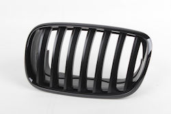 Prasco Dekorative Auto Maske BMW X5 (E70) / X5 / X6 (E71)