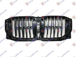 Prasco Dekorative Auto Maske BMW X5 (G05)