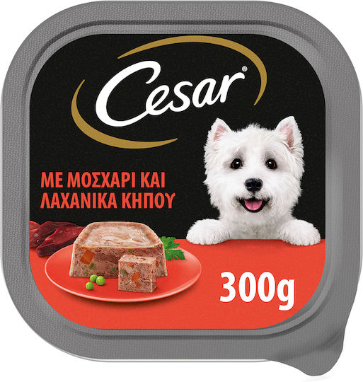 Cesar Υγρή Τροφή Σκύλων σε Ταψάκι με Καρότο και Μοσχάρι 300gr
